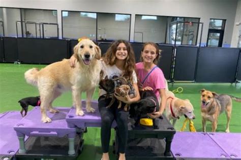 Through Ruff Day Training and Pet Care, we apply lifelong passion for animals as well as knowledge and training to provide real world solutions for pet owners. . A ruff day bark club